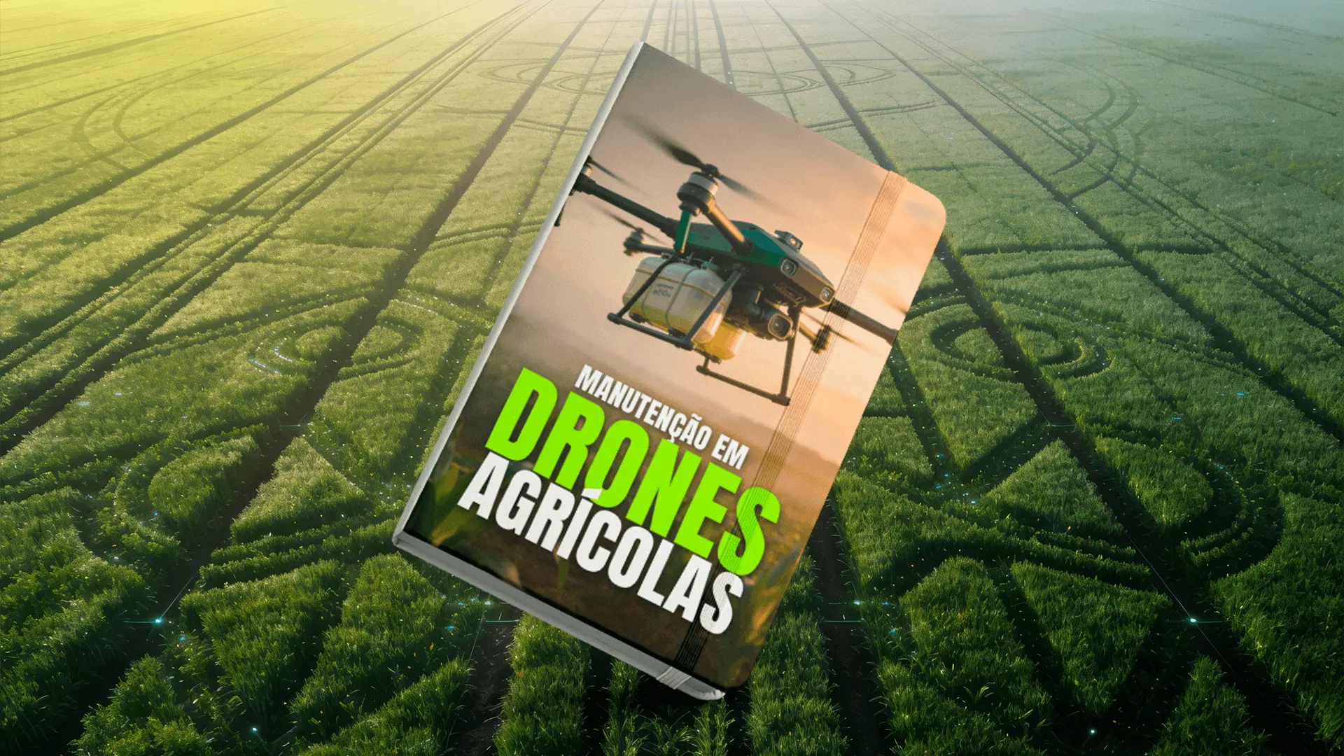 Manutenção em Drones